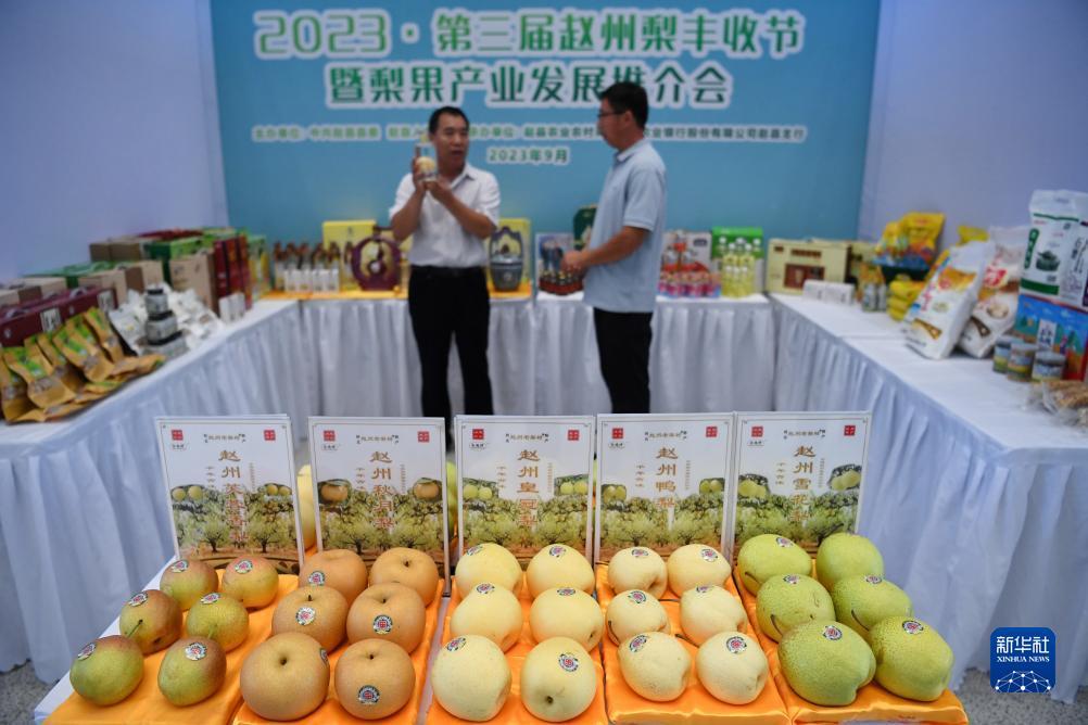 游戏大厅打鱼